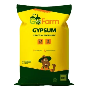 gypsum