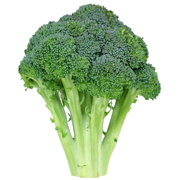 green sprouting broccoli