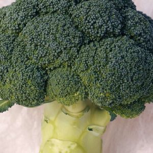 Parthenon F1 Hybrid Broccoli