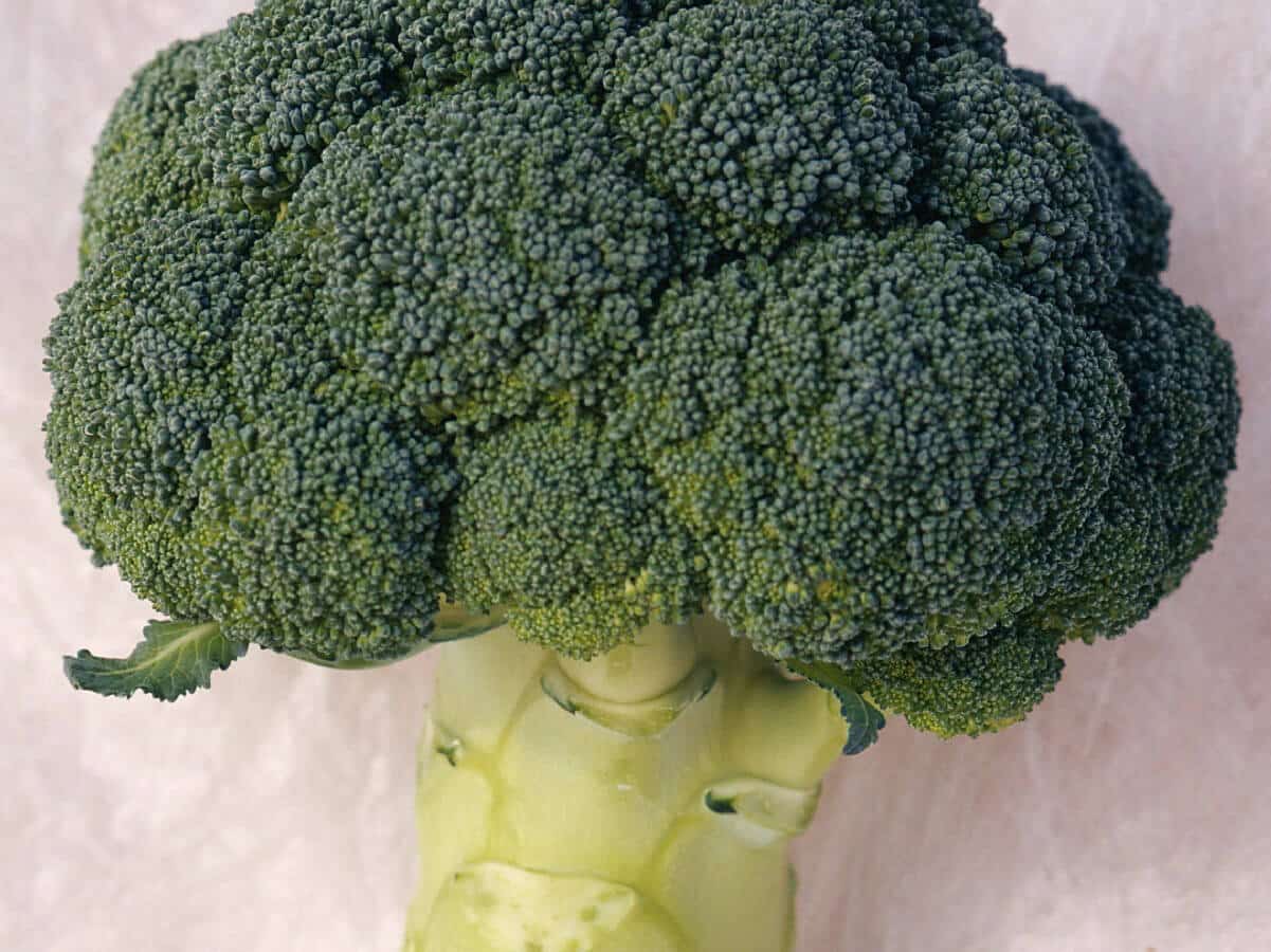 Parthenon F1 Hybrid Broccoli