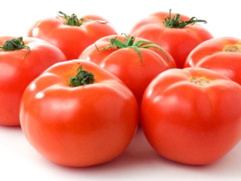 Fortuna F1 Hybrid Semi-Determinate Salad Tomato