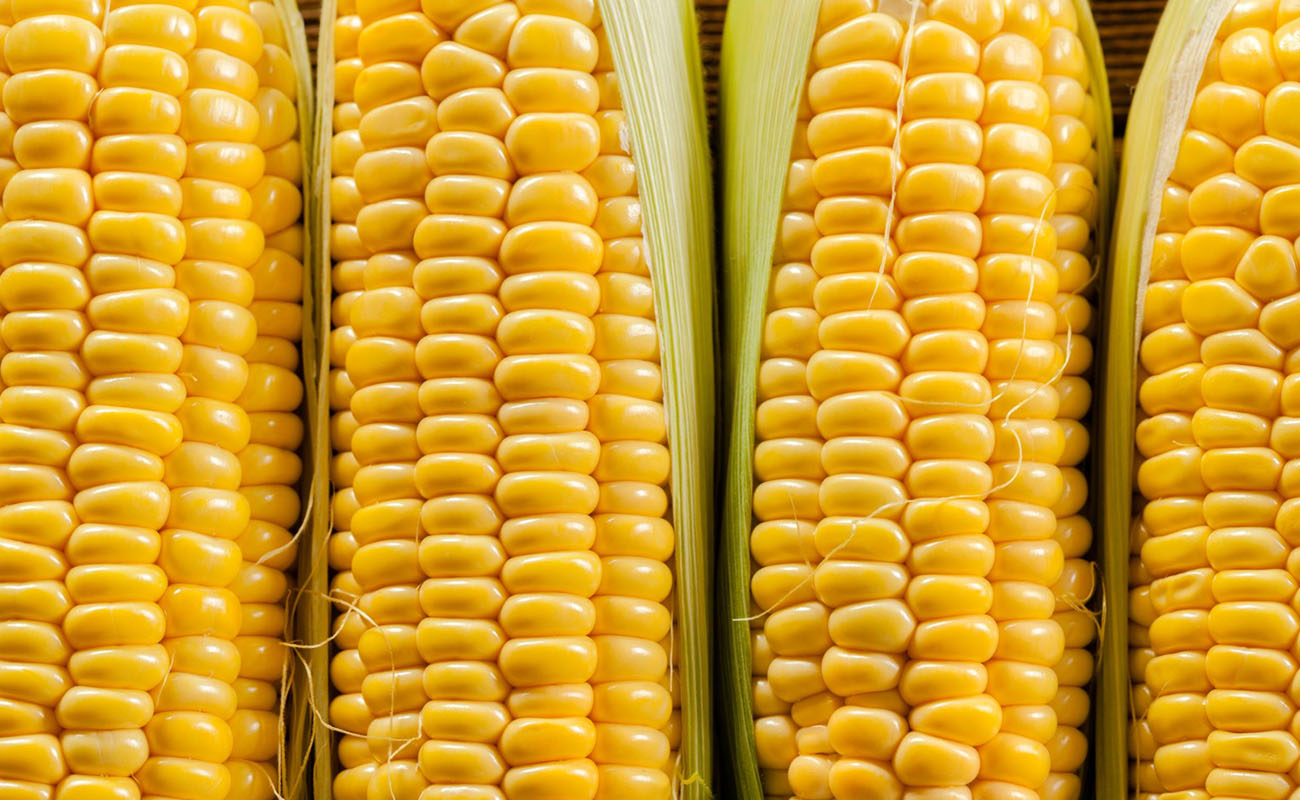 Field Crops