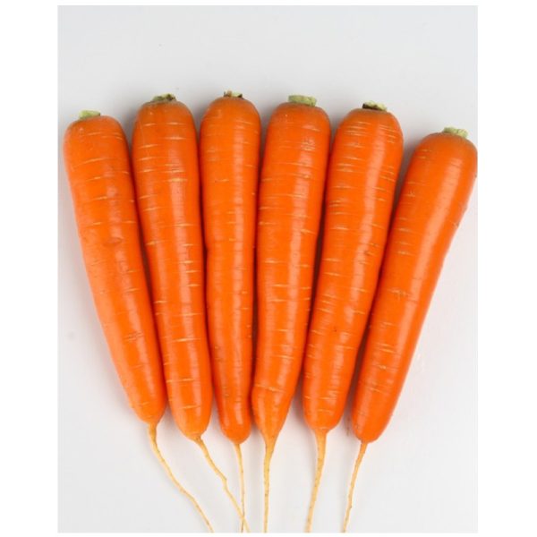 Carrot