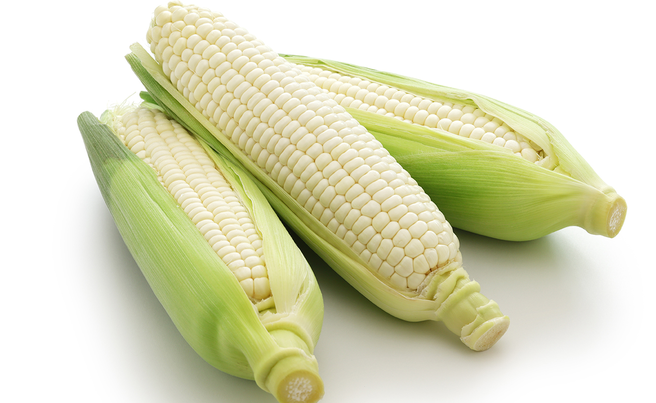 Maize