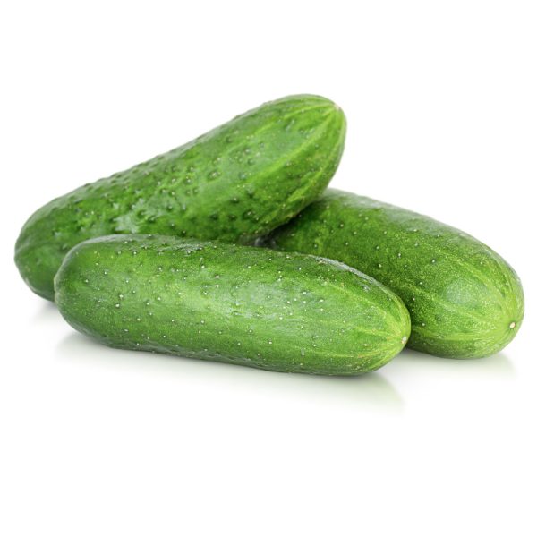 Cucumber