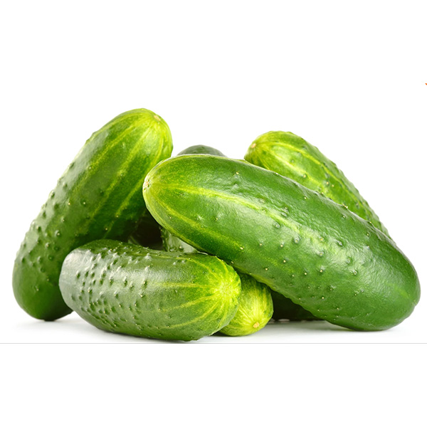 Poinsett Cucumber